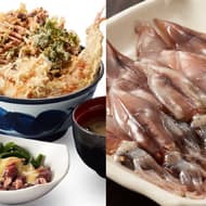 天丼てんや「初夏天丼」「初夏の盛合わせ」旬の食材ほたるいかや漬けかつおの天ぷら入り！