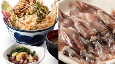 天丼てんや「初夏天丼」「初夏の盛合わせ」旬の食材ほたるいかや漬けかつおの天ぷら入り！