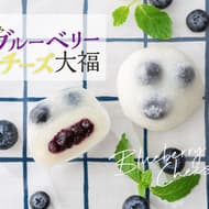 Kameya Mannendo "Hand-wrapped Blueberry Cheese Daifuku" - rich and refreshing cheese bean paste & fresh Japanese large blueberries