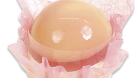 Fujiya's new products: "Peach Melba of Yamagata Prefecture's Mochizuki White Peaches", "Domestic Fruity Strawberry Dolce", "Domestic Fruit Paradise", etc.