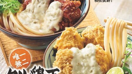 Marugame Seimen "Teriyaki Taru Chicken Bukkake Udon" - Thick, sweet and spicy "teriyaki sauce" and special tartar sauce intertwine! The popular "Tartar Chicken Tempura Bukkake Udon" also makes a return!