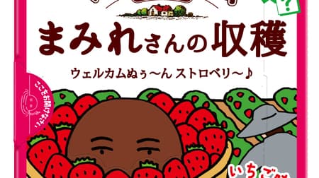 Fujiya "Country Maam Mamire-san's Harvest Box" cookies with strawberry juice and strawberry flavored chocolate chips! Includes 1 Super Mamire-san card (4 kinds in total)
