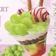 WASHOKURI-SATO "Nagano Prefecture Produced Cheinmuscat" New Sweets Summary! Shinemuscat parfait", "Shinemuscat dolce", "Shinemuscat hand-wrapped mini daifuku", etc.