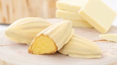 Morozoff "Hokkaido White Chocolate Cake", milky, rich and delicious, available only at Daimaru Sapporo Store!