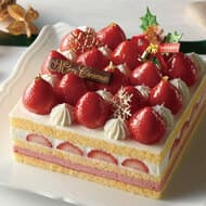Antenor 2023 Christmas Cakes: "Bijoux de Phrase," "Santa's House of Sweets," and 9 other items!