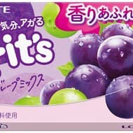 Lotte "Fit's [Grape Mix]", "Fit's [Refreshing Citrus]", "Fit's [Original Mint]".