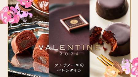 【2024年版】アンテノールのバレンタイン特集！プティ・ザッハなど数量限定のチョコレート菓子も