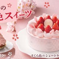フロ 春限定「さくら色ショートケーキ」と「さくらモンブラン」を3月1日から販売！春季限定焼き菓子ギフトも展開