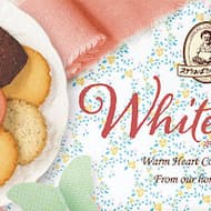 【アントステラ】ホワイトデーにぴったり！ステラおばさんのクッキーギフト（2024年版）