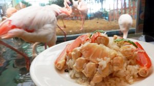 福島・いわきの「レストラン メヒコ」で不思議体験？フラミンゴを見ながらカニピラフ