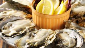 Limited to 3 groups a day! All-you-can-eat "raw oysters"-Weekday only campaign at Kichijoji "Pizzeria Naples"