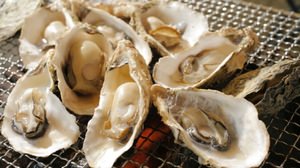"Kujukushima oyster festival" eaten by 1,600 people--Enjoy the rich oysters grown in the sea of Nagasaki!