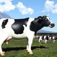 カップヌードルで「実物大 乳牛型お湯入れマシーン」が当たるけど、大き過ぎないか!?