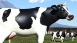 カップヌードルで「実物大 乳牛型お湯入れマシーン」が当たるけど、大き過ぎないか!?