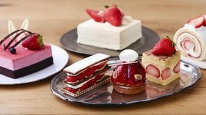 "Skyberry Fair" will be held at Patisserie Kihachi! Nine kinds of cakes using the new strawberry "Skyberry" are now available