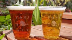 A beer garden produced by "Yona Yona" opens in Akasaka and Omotesando! You can also enjoy "Yona Yona Ale" and "Wednesday Cat"