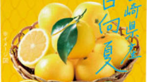 "Afternoon tea" with Hyuganatsu from Miyazaki prefecture! "Hyuganatsu Tea for Summer" Limited to Summer