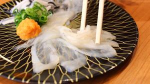 くら寿司「極上ふぐフェア」今年は国産「まふぐ」の「てっさ（刺身）」初登場