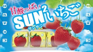"SUNSUN strawberry" with a sour taste in Tyrolean chocolate--a refreshing blue sky package!