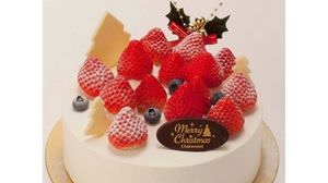 Chateraise's 1st Christmas Sweets-A Variety of 26 Kinds