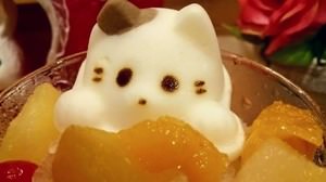 栃木の猫カフェCats cafe 22番地に「にゃんこのかき氷」が夏季限定で！