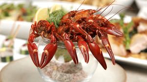 It's a crayfish party in Kita-Aoyama! Scandinavian restaurant Akvavit "Crayfish Fair"