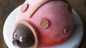 There is also a "ladybugs" ice cake that brings happiness! Assorted palm-sized entremets glasse from Glaciel
