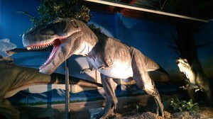 Realistic feeling is amazing--The ancient restaurant "Dinosaur" full of dinosaurs opens in Yamato, Kanagawa!