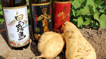 Factory Tour】Kurokirishima is made from white sweet potatoes! What surprised me when I visited "Kirishima Sake Brewery