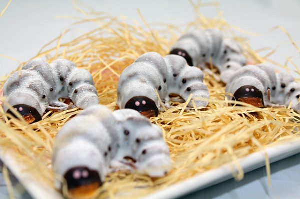 This is the real beetle larva chocolate!