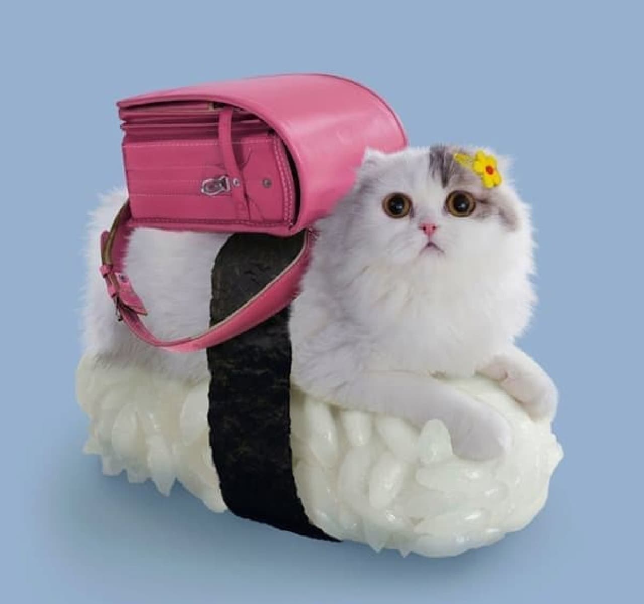 School bag cat sushi "Toromi" that Mr. Dorothy Tan of Taxi also liked