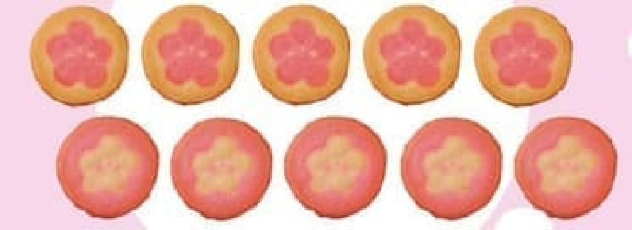 Flower-designed cookies