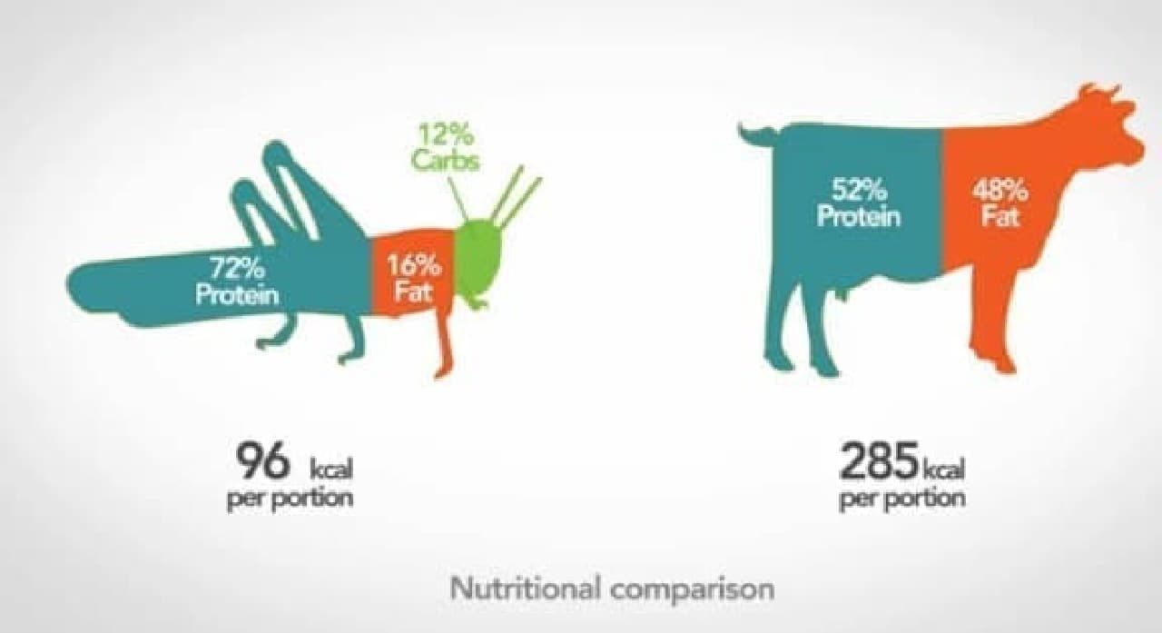Insects are low in fat and high in protein