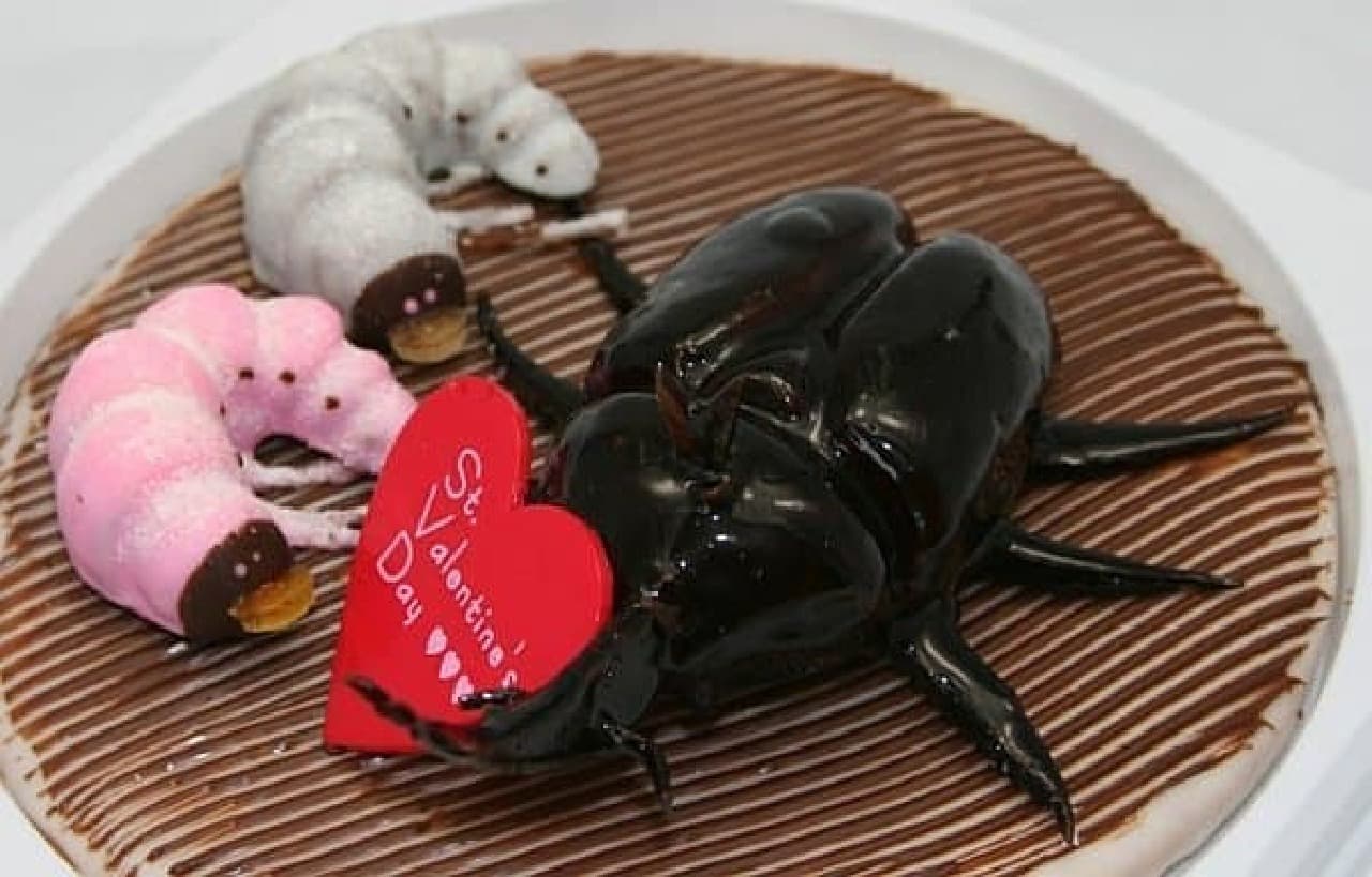 "Beetle cake lovely pack" La, lovely?