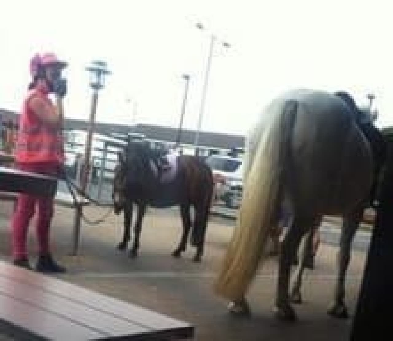 A girl came on a pony (Source: BBC)