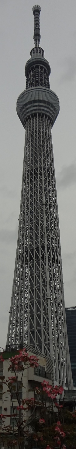 The real Tokyo Sky Tree