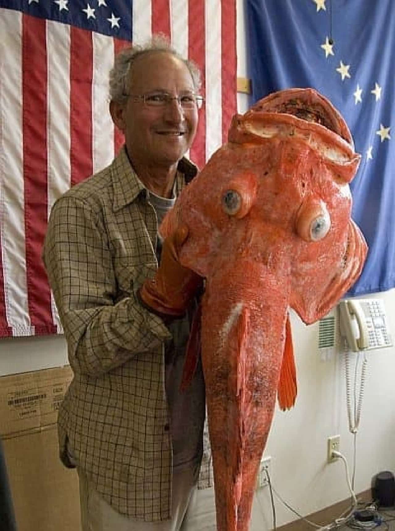 The reef fish caught by Mr. Liebman is 41 inches (about 104 cm) in length (Source: New York Daily News)