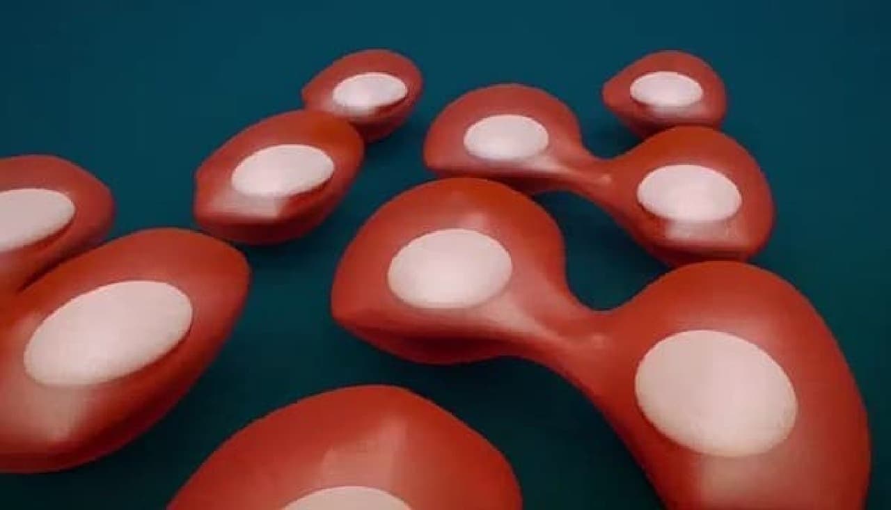 Divided cells naturally connect to each other to become myotube cells