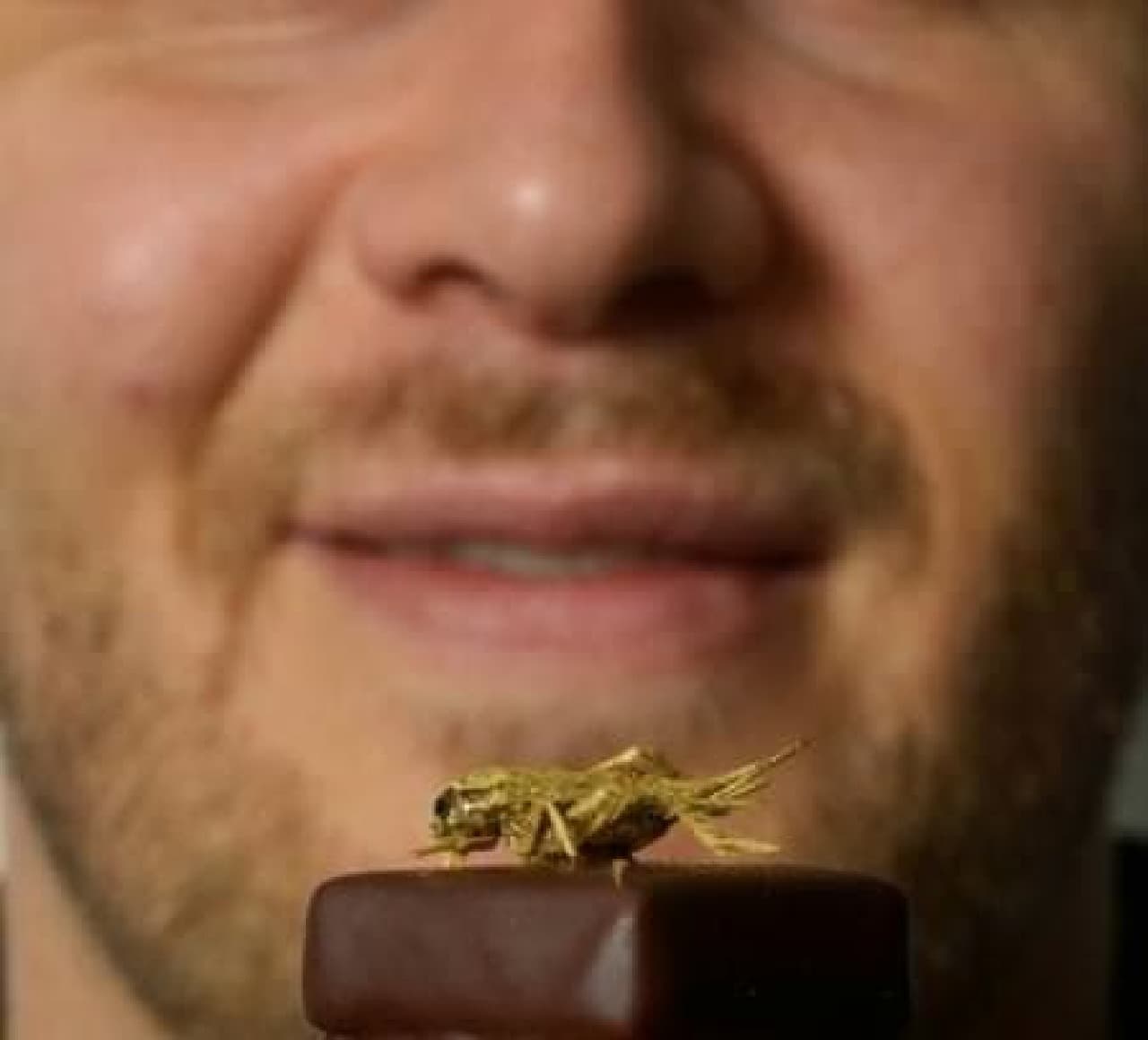 "If you can't eat insects, you can eat them on chocolate."