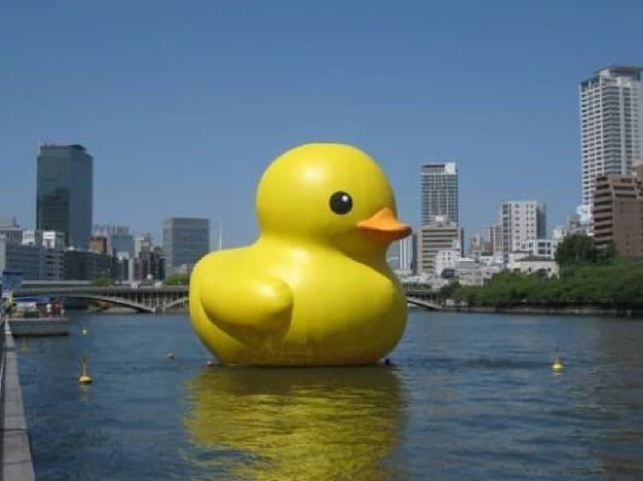 Rubber duck exhibited in 2009