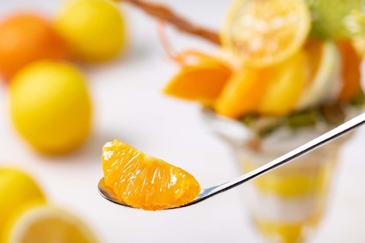 Izu Imaihama Tokyu Hotel to Offer "Izu Citrus Parfait" Using Izu Citrus Fruits for a Limited Time Starting May 11, Offering Refreshing Taste Perfect for Early Summer Image 3