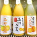 There are various kinds of oranges | SHUGAR MARKET (Shibuya)