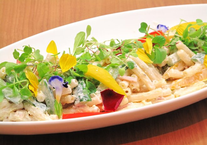 Macaroni salad with summer vegetables