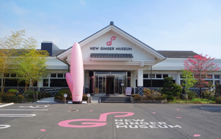 Iwashita New Ginger Museum (Tochigi City)