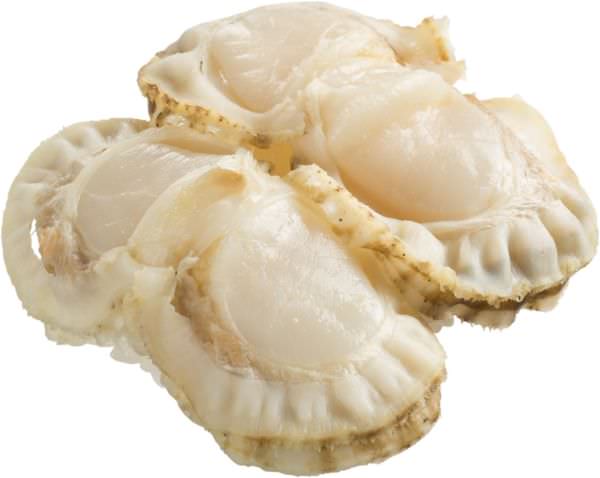 Oversized steamed scallop 100 yen (excluding tax)