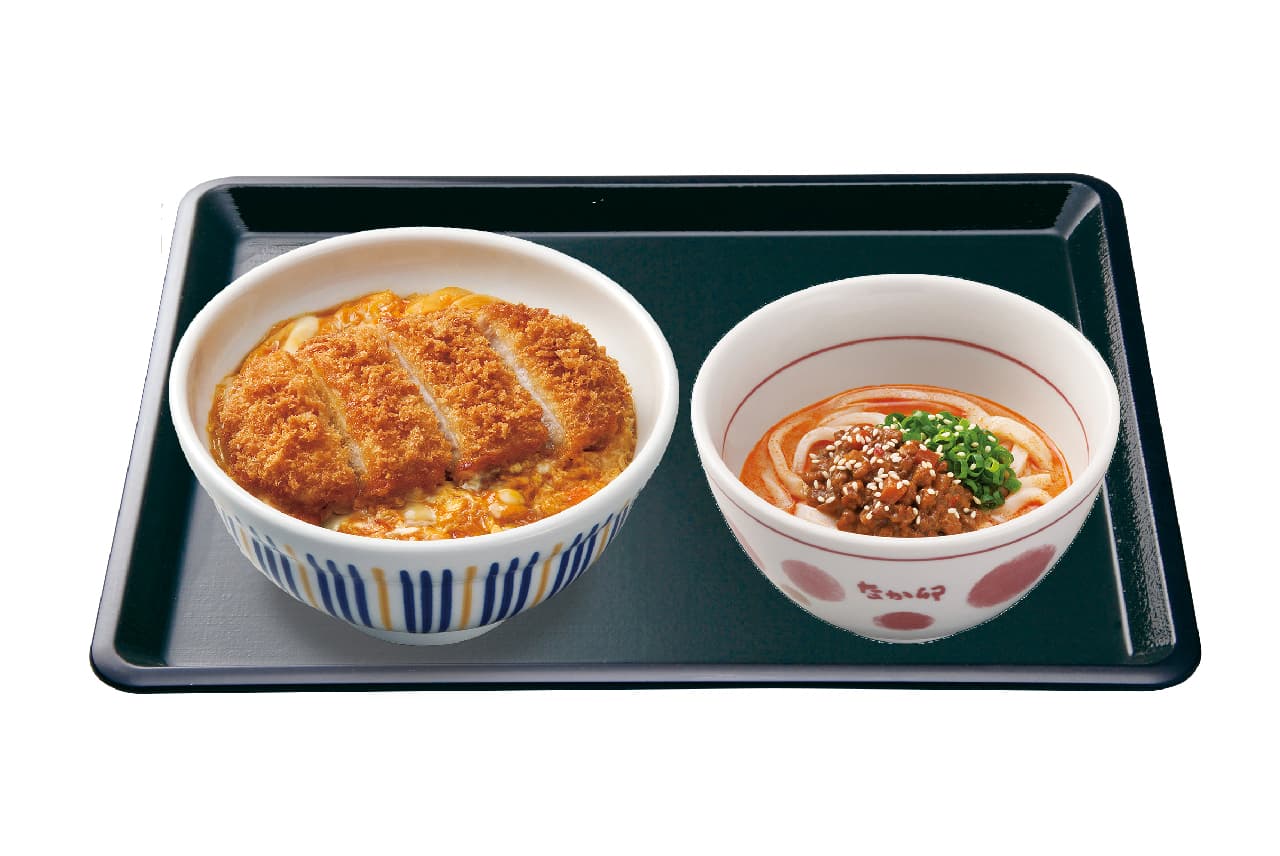 Katsudon average + chilled dandan noodles small